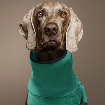 Winter Warm Dog Vest Jacket – Coat for Medium & Large Dogs