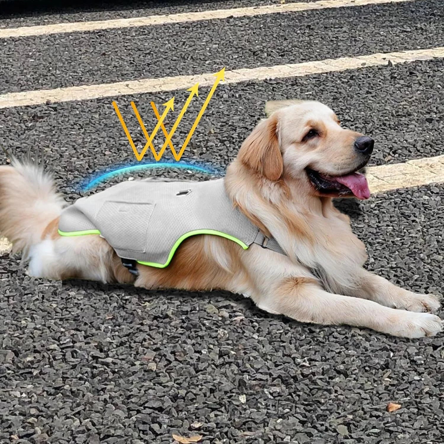 I YAN dog cooling vest with two gel ice packs, adjustable for small to large dogs, providing evaporative and ice cooling relief.