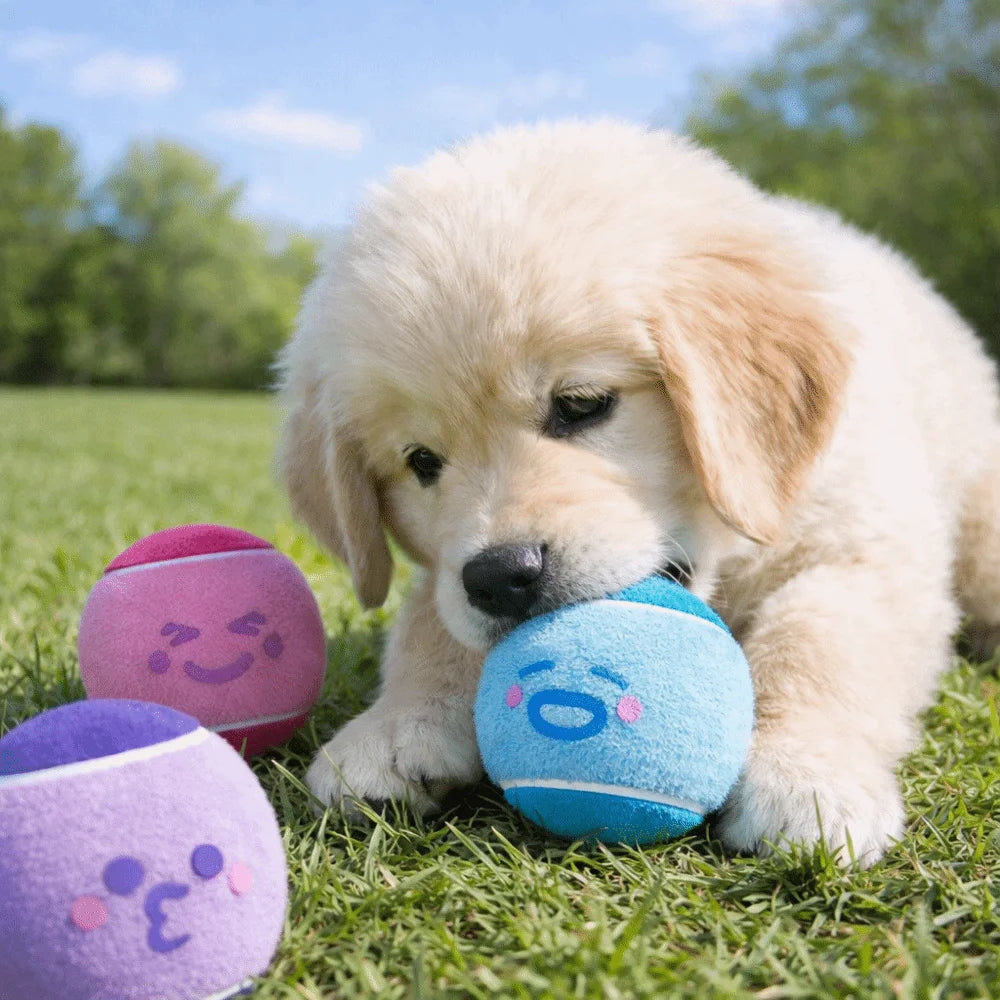 3 pieces Elastic Pet Tennis Ball Eco Friendly Color Blocked Dog Chew Toy Squeaky Sound Cartoon Pattern Pet Bouncy Ball Training