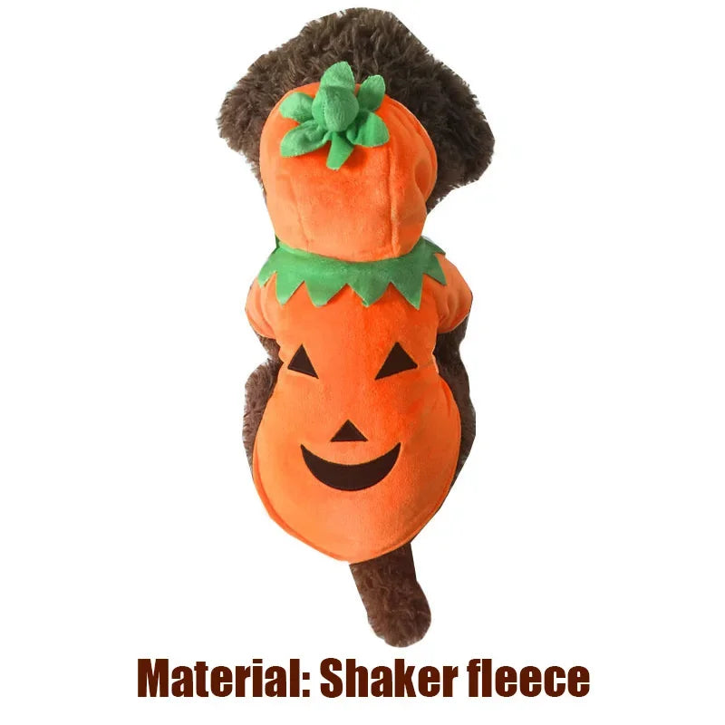 Pet Clothing, Pumpkin, Funny Clothing,  Cute Halloween Clothing, Dog Clothing