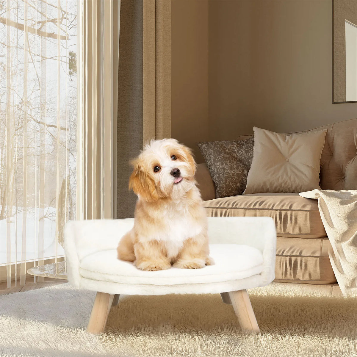 Small pet sofa bed by I YAN featuring a raised cat chair design with a removable cushion for comfortable sleep.