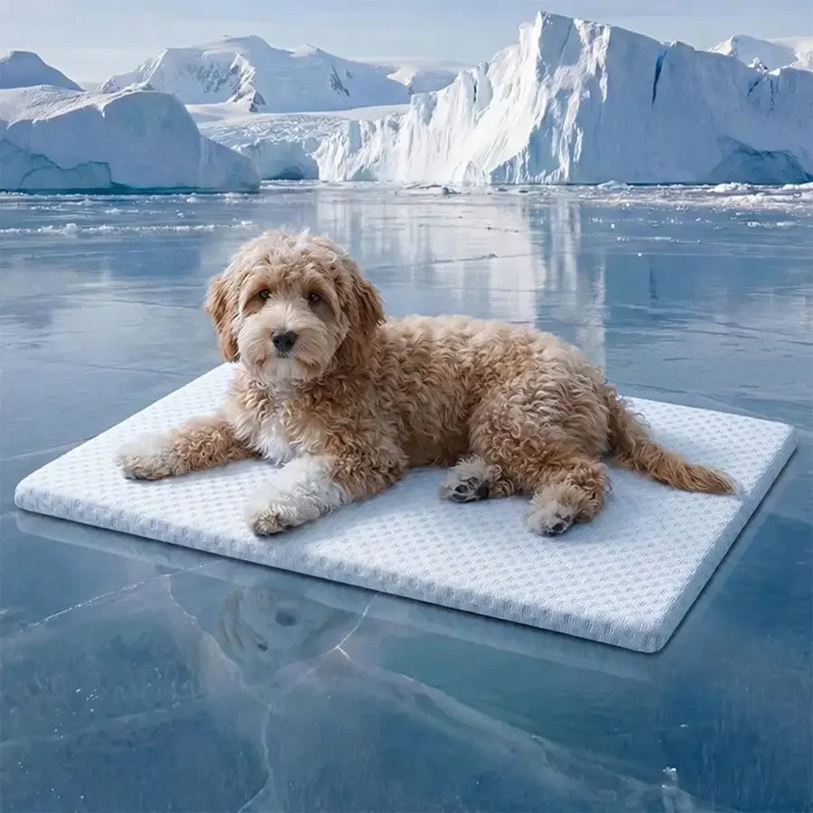 Breathable sponge cooling cat bed with washable all-season pet nest, designed for comfort and easy cleaning by I YAN.