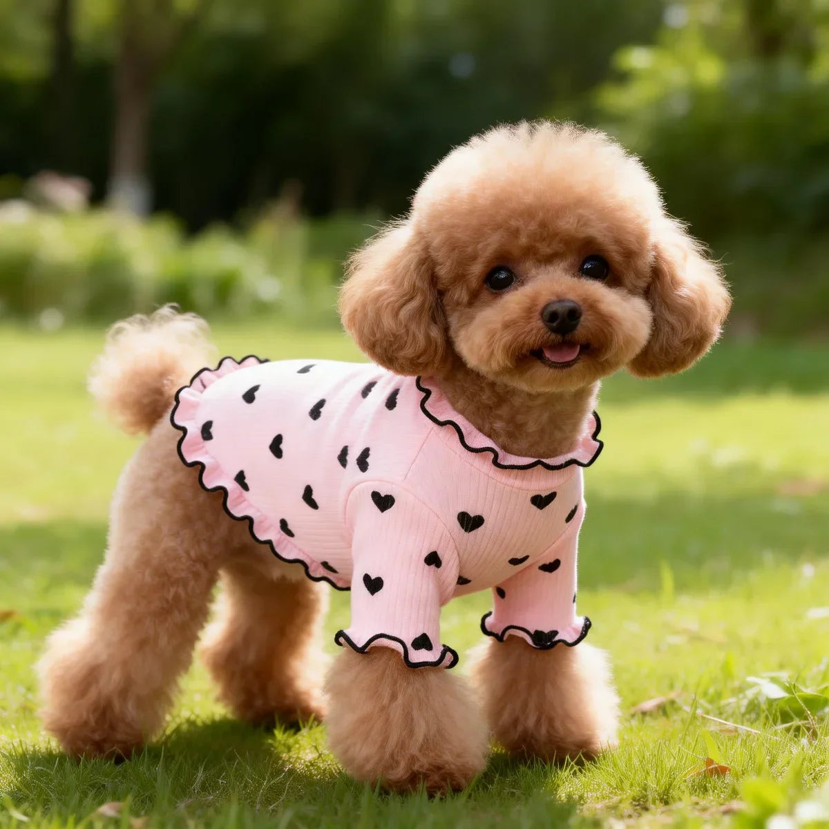 Cute I YAN pet T-shirt with stretch ribbed heart pattern, suitable for dogs and cats, featuring a comfortable home vest design.