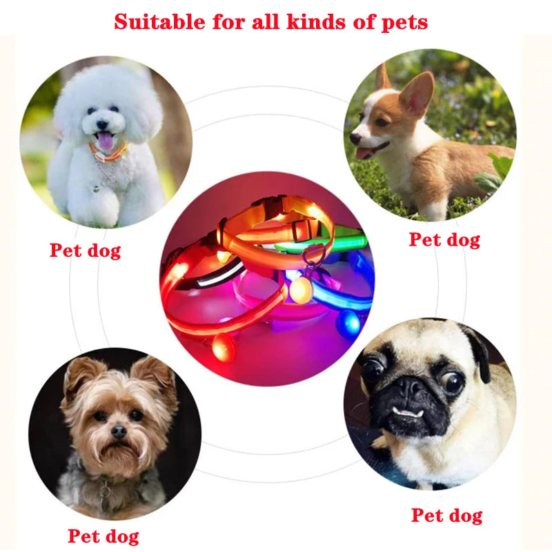 USB rechargeable LED glowing dog collar by I YAN, illuminated safety light for small dogs and cats in dark or low light.