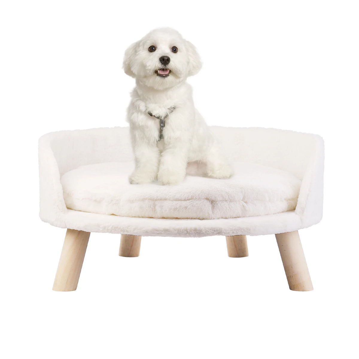Small pet sofa bed by I YAN featuring a raised cat chair and dog couch with removable cushion for comfortable sleep.