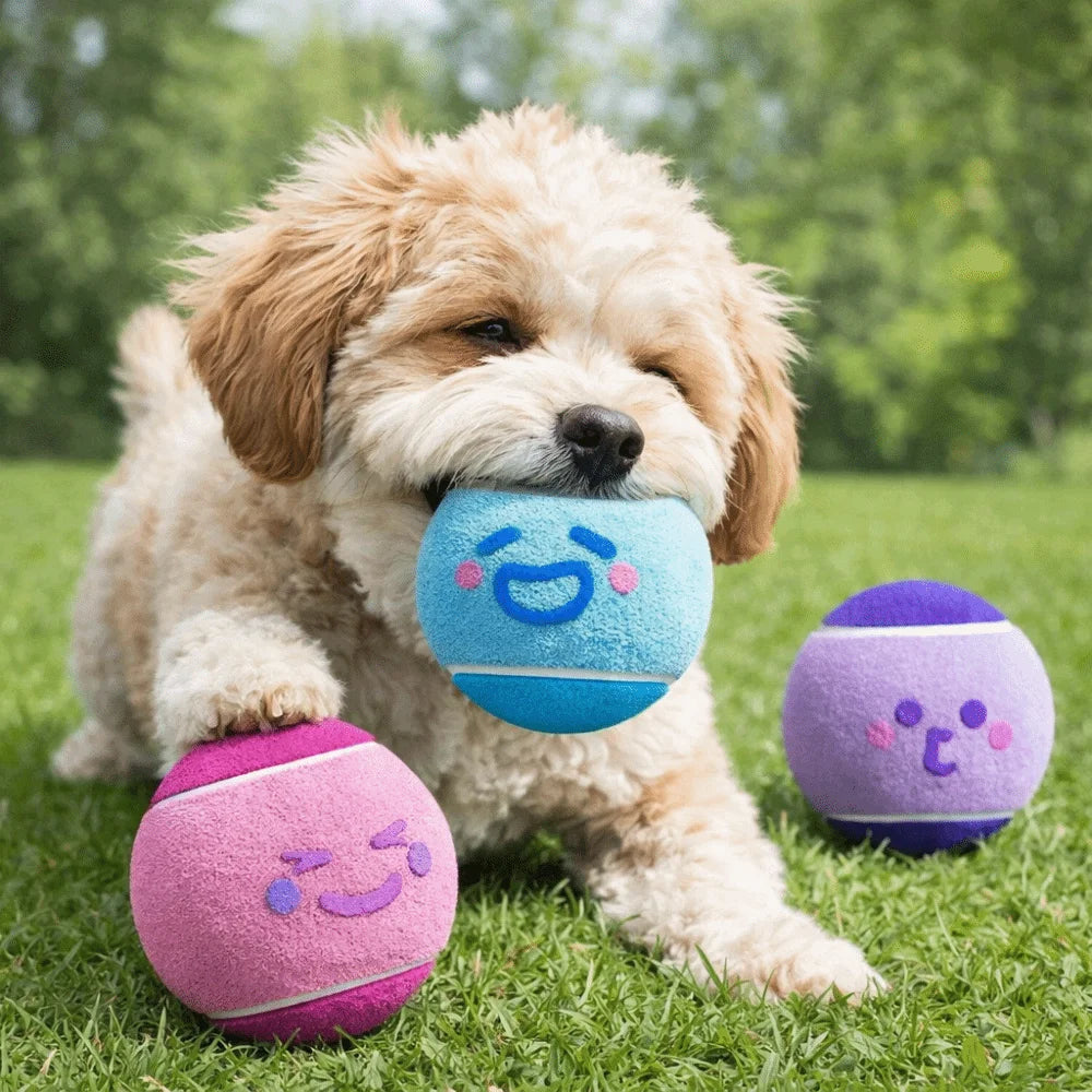3 pieces Elastic Pet Tennis Ball Eco Friendly Color Blocked Dog Chew Toy Squeaky Sound Cartoon Pattern Pet Bouncy Ball Training