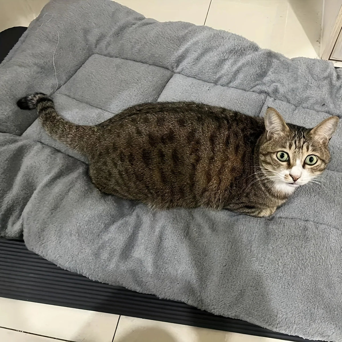 I YAN oversized plush dog and cat bed, soft rectangle pet mat for all sizes, cozy and comfortable pet sleeping area.