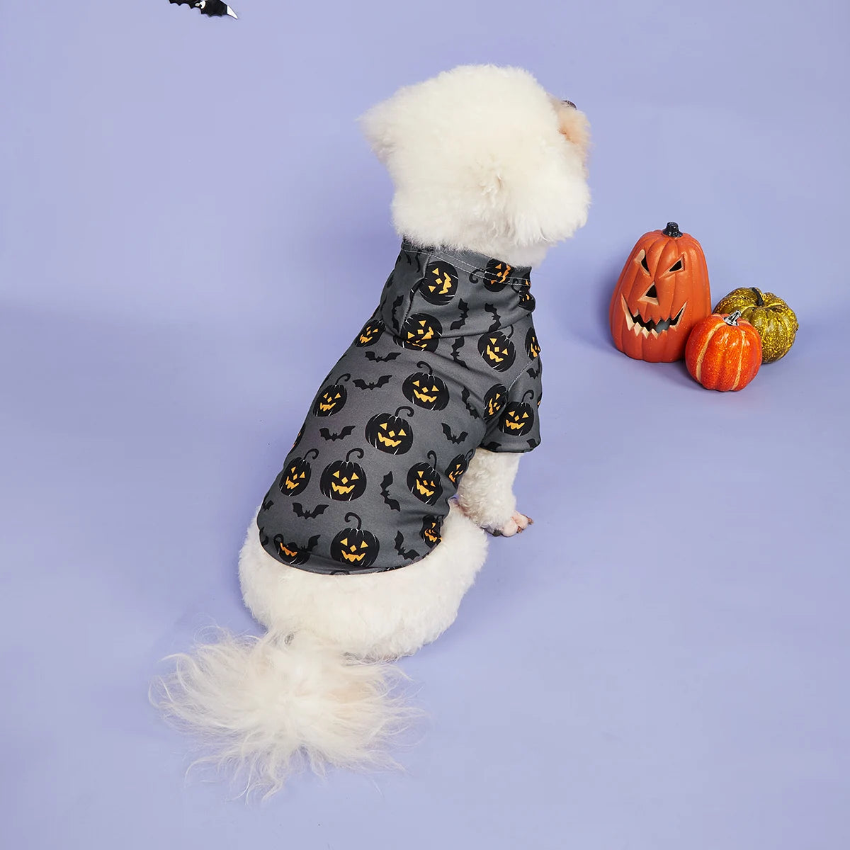 Dog Hoodie Halloween Shirts Clothes Dog Doggy Cool Pumpkin and Bat Pattern  Dog Clothes Dog Sweatshirts Apparel Pet Turtleneck P