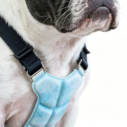 Lightweight I YAN Gel Dog Cooling Vest harness on small dog, providing heat relief and comfort during warm days.