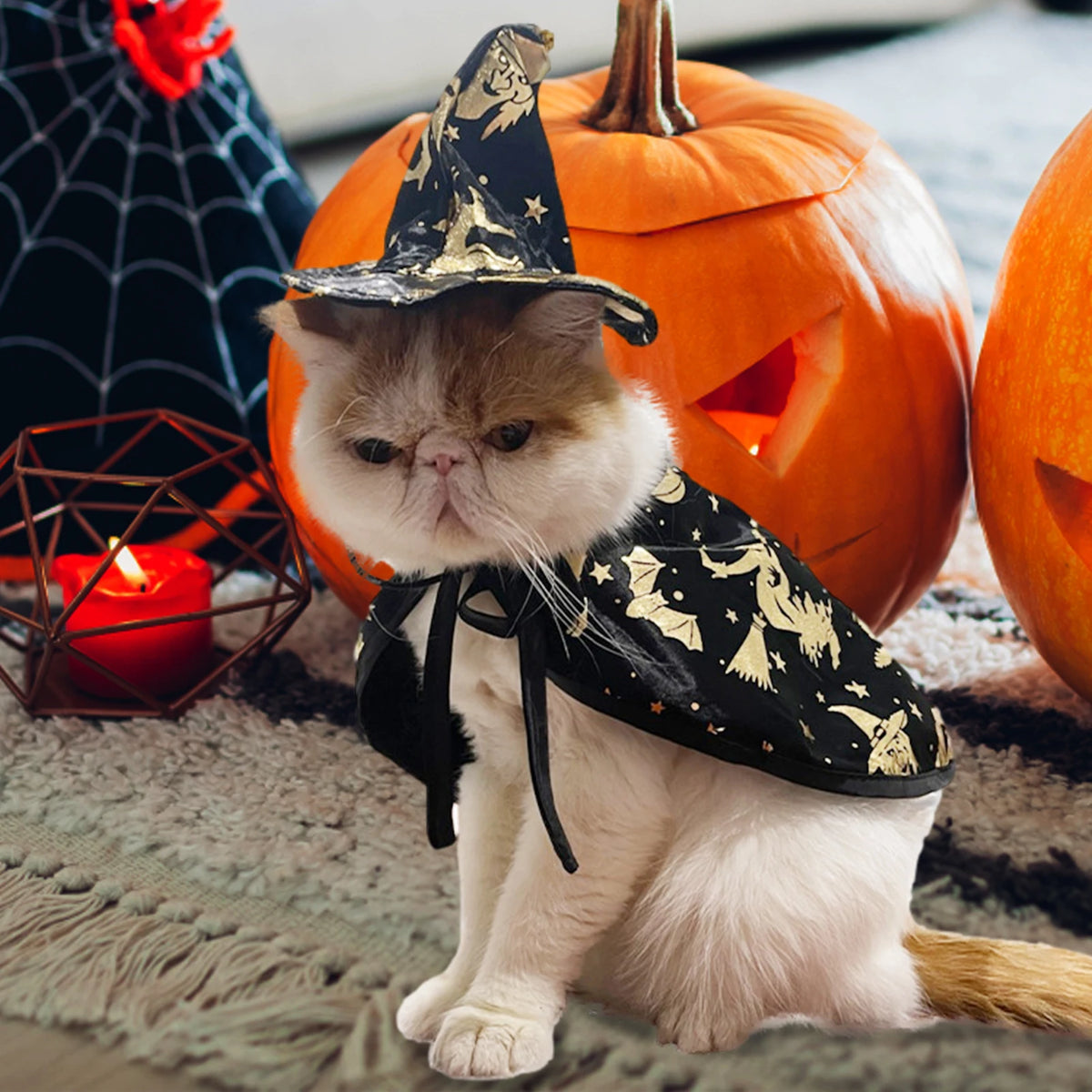 Cat Wizard Halloween costume featuring a witch hat, cloak, and cape by I YAN for dogs and cats, perfect for festive dress-up.