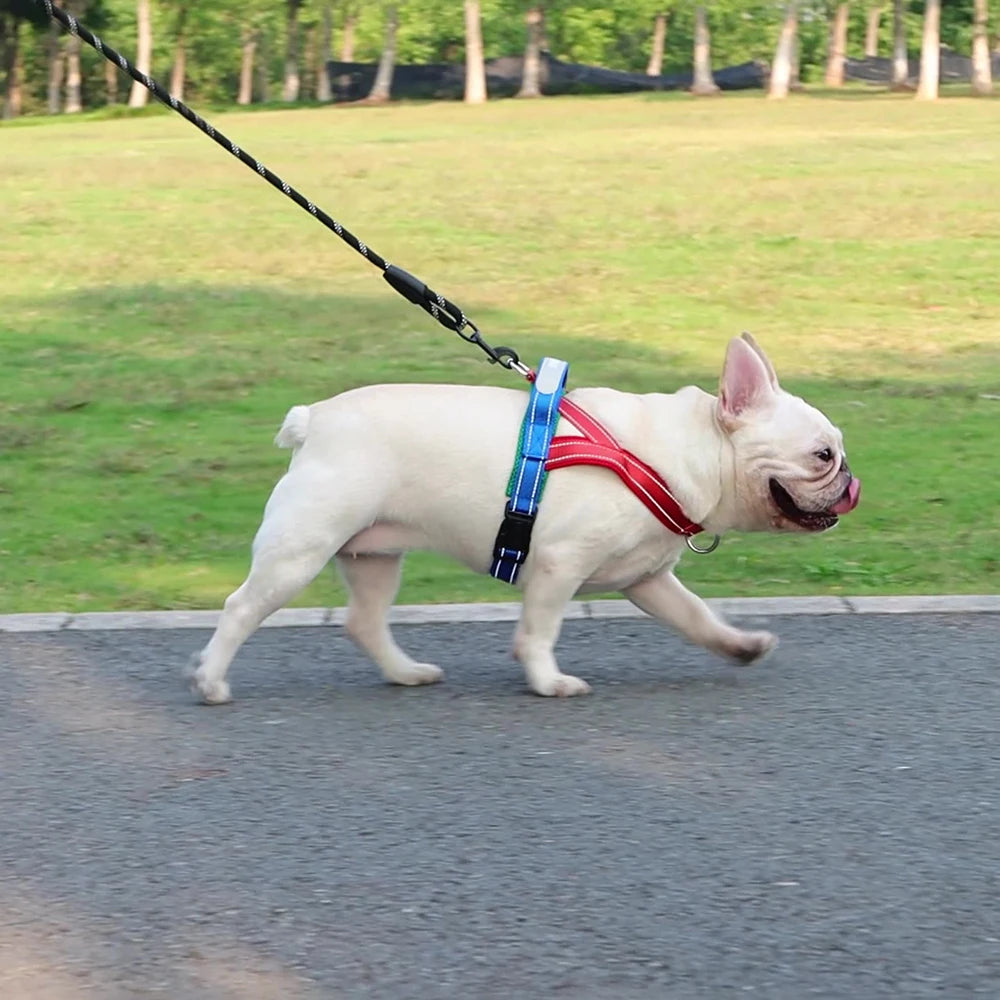 Classic Dog Harness No-Pull Padded Style Vest, Escape-Proof Chest Breathable Reflective Adjustable Mesh for All Breeds