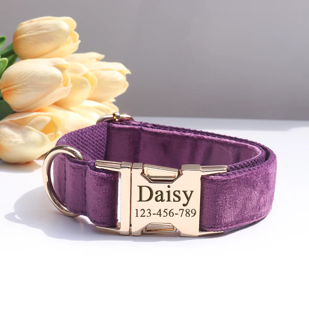 Personalized I YAN dog collar with engraved ID tag for small to large dogs, featuring customizable name and contact information.