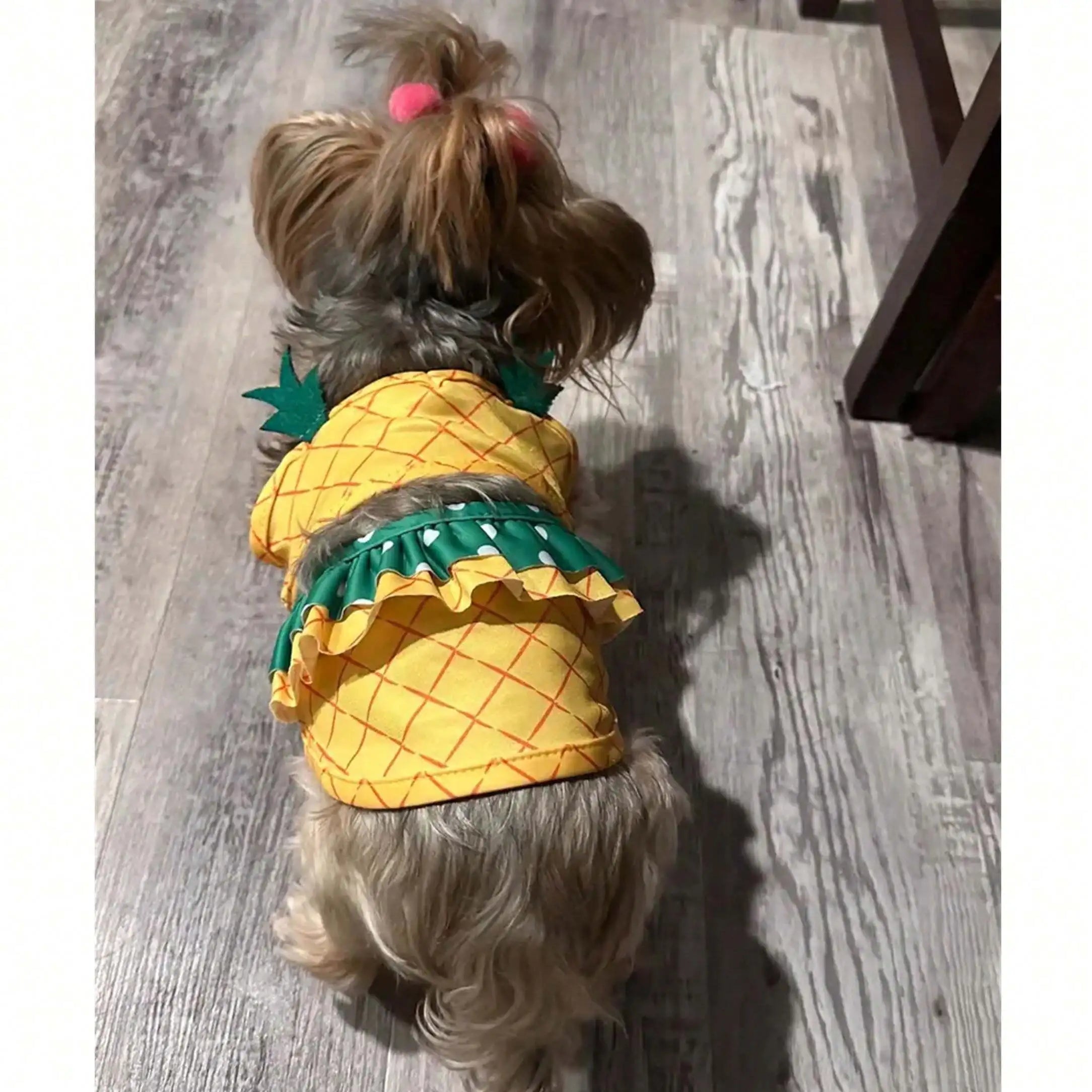 Pineapple Funny Dog Swimwear Bikini Summer Dog Clothes Beach Swimsuit Puppy Bathing Suit Puppy Vest Cooling Dog Shirts Pet Shirt For Small Dog, Cat Apparel