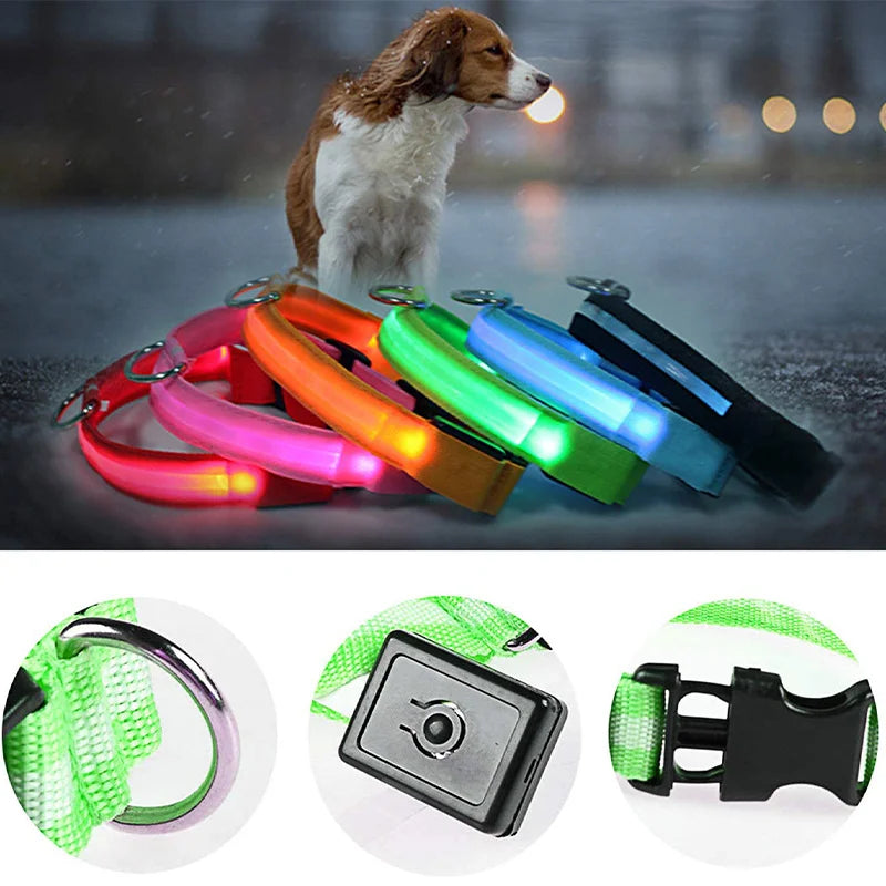 USB rechargeable LED glowing dog collar with safety light for small dogs and cats, featuring bright illumination and adjustable fit.