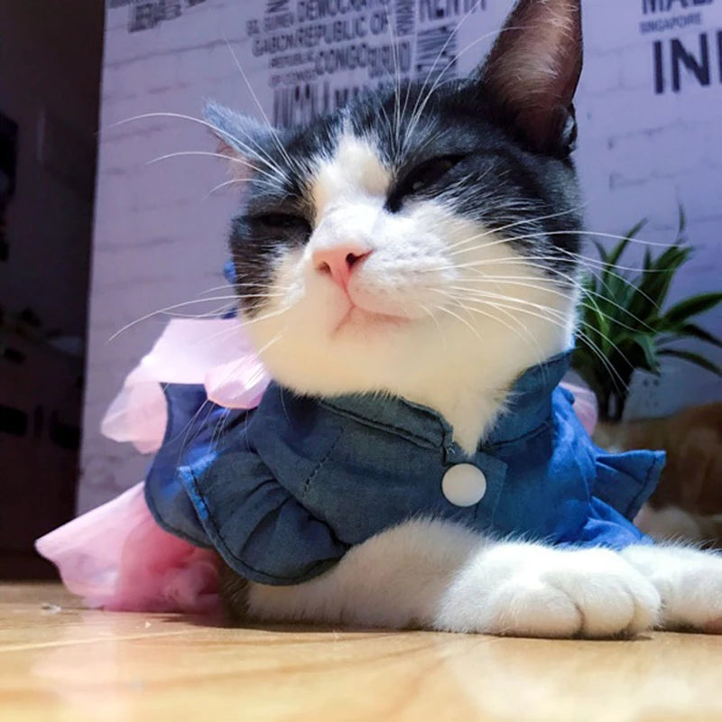 I YAN denim Sphynx cat dress with skirt, summer pet costume for female cats and kittens, featuring a stylish Garfield-inspired design.