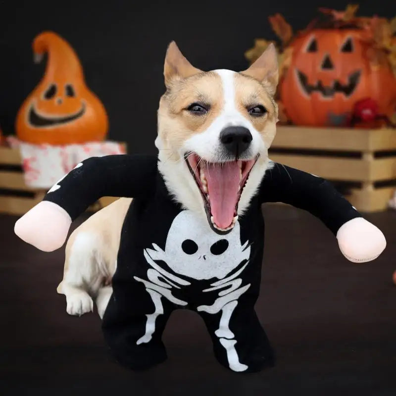 Glow-in-the-Dark Dog Skeleton Halloween Costume – Funny Pet Outfit