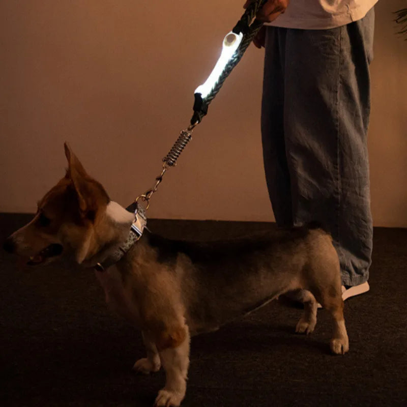 I YAN water-resistant dog safety collar with colorful pendants and LED light strip for night visibility and outdoor walks