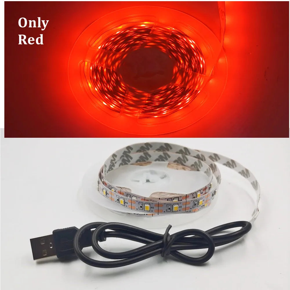 5M USB LED Strip Light 5V 3528 1 Meter 5 Meter Warm Cool White Pink Green Blue Red SMD Ribbon Ceiling Cabinet Light waterproof