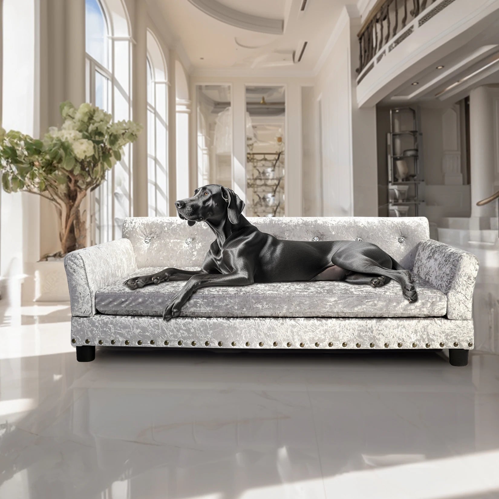Extra Large Dog Sofa Couch Bed for Medium to Large Dogs Elevated Pet Sofa Lounge Furniture Removable Sponge Cushion