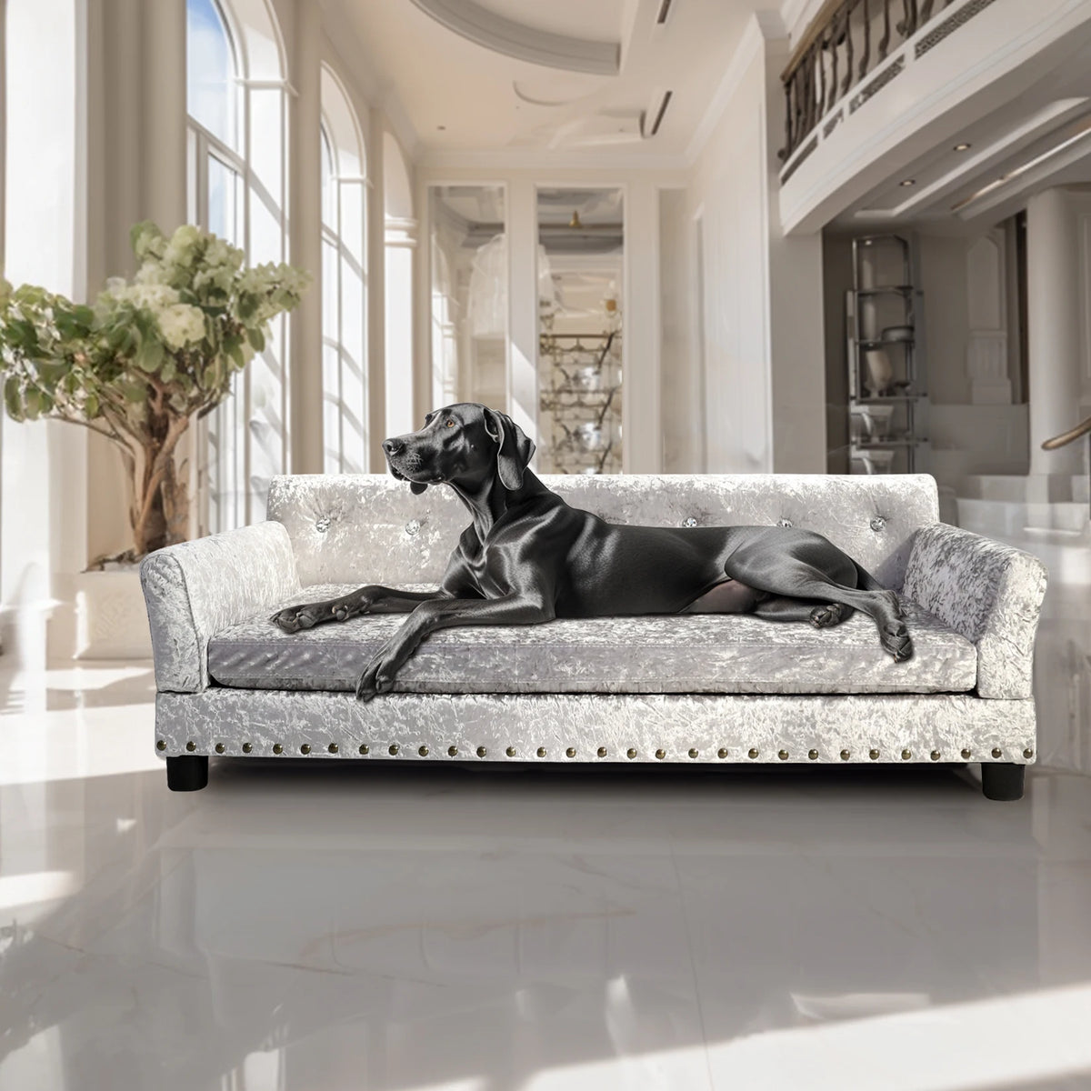 Extra large I YAN dog sofa bed with elevated lounge design, removable sponge cushion for medium to large dogs.