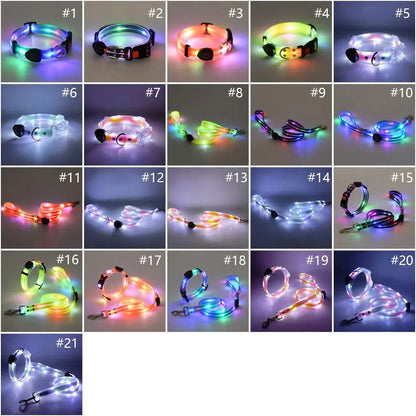Rechargeable LED dog collar and leash set by I YAN with glow-in-the-dark safety features, shown in a close-up image.