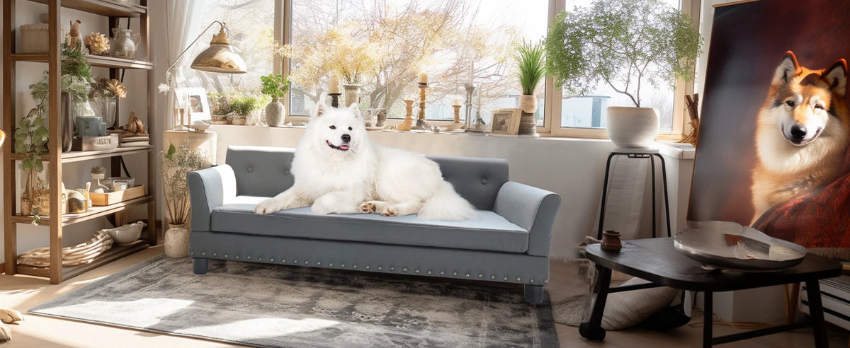 I YAN BINGOPAW rectangle pet bed for medium and large dogs, elevated and comfortable dog sofa with modern design