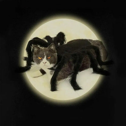 Halloween Spider Costume for Dogs & Cats – Spooky Pet Outfit