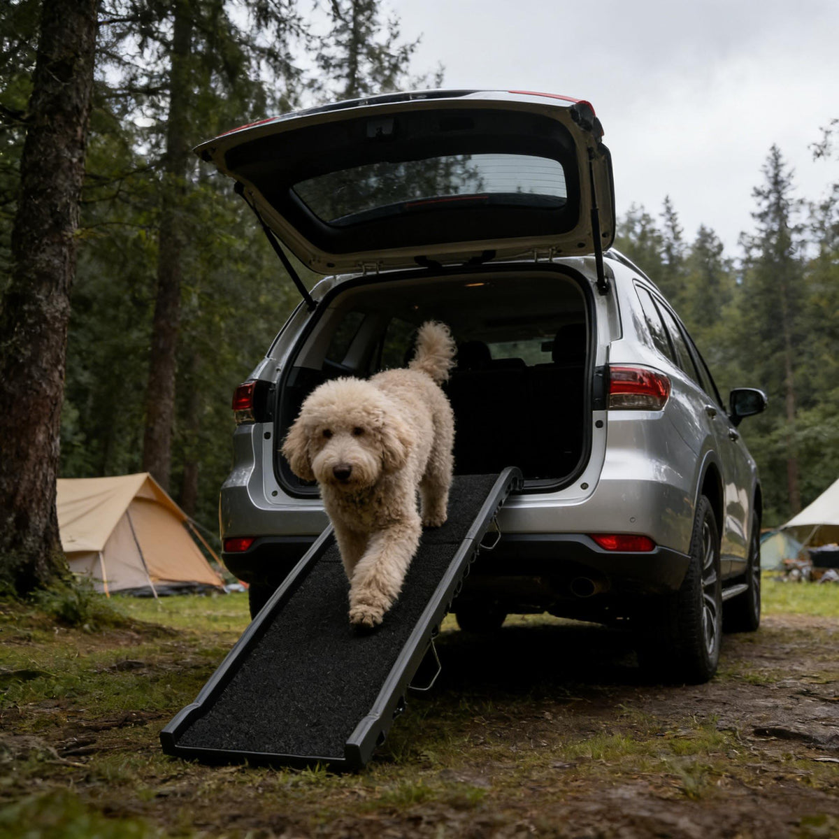 Foldable I YAN dog car ramp, 61-inch long gentle slope for SUVs and high beds, made for easy pet access and safety.